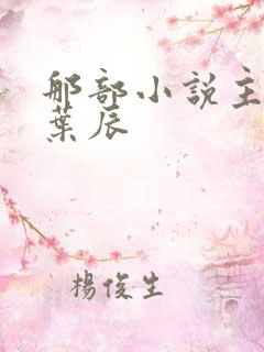 那部小说主角叫叶辰