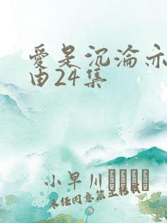 爱是沉沦亦是自由24集