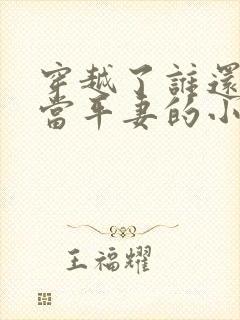 穿越了谁还稀罕当平妻的小说