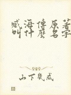 臧海传原著小说叫什么名字