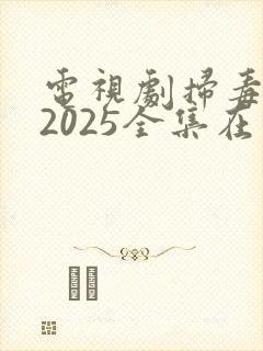 电视剧扫毒风暴2025全集在线观看