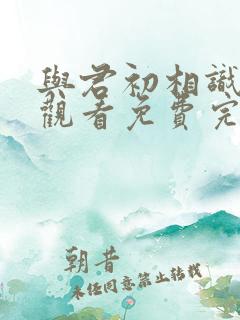 与君初相识在线观看免费完整版