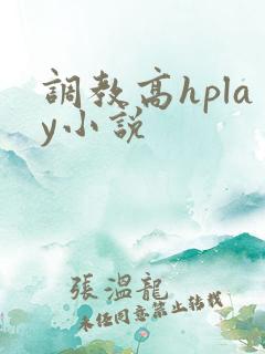 调教高hplay小说