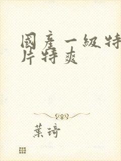 国产一级特黄大片特爽