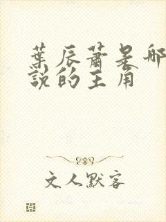 叶辰萧是哪部小说的主角