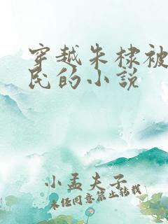 穿越朱棣被贬农民的小说