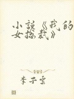 小说《我的冰山女总裁》