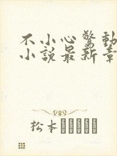 不小心惊动全朝小说最新章节更新时间