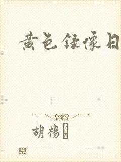 黄色录像日本版