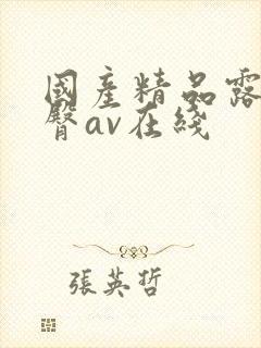 国产精品露脸蜜臀av在线