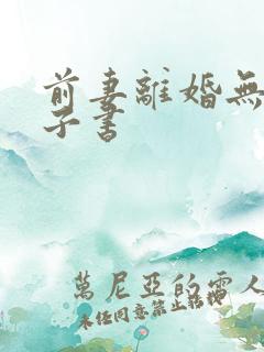 前妻离婚无效电子书