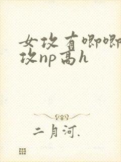 女攻有唧唧的女攻np高h