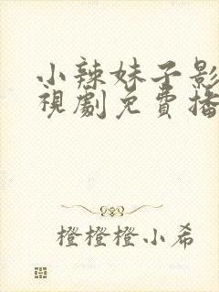 小辣妹子影院电视剧免费播放