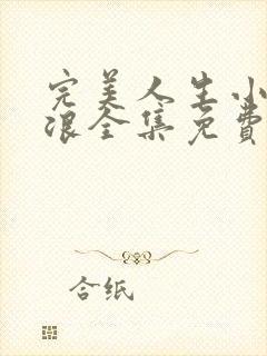 完美人生小说沈浪全集免费阅读