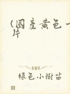 (国产黄色一级片