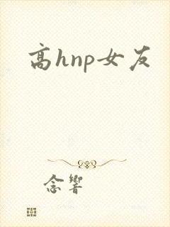 高hnp女友
