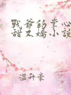 战爷的掌心宠又甜又娇小说全文免费阅读