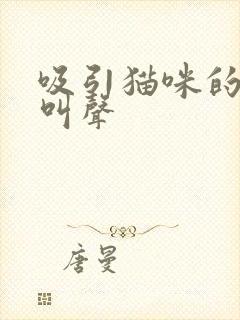 吸引猫咪的声音叫声