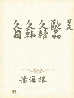 久久久欧美激情日韩精品