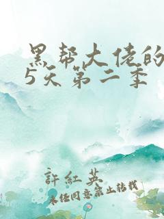 黑帮大佬的365天第二季