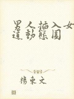 男人插入女人阴道动态图