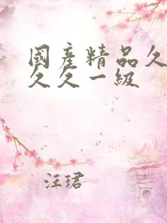 国产精品久久久久久一级