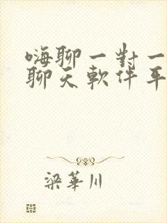 嗨聊一对一视频聊天软件平台