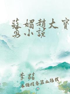 苏媚赵大宝赵大勇小说