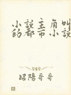 小说主角叫刘枫的都市小说