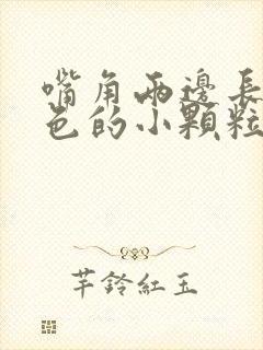 嘴角两边长了白色的小颗粒