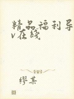 精品福利导航av在线