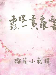 两眼看东西有重影,一只眼看没有