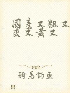 国产又粗又猛又爽又黄又