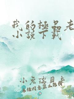 我的极品老婆 小说下载