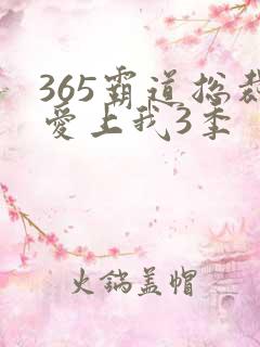 365霸道总裁爱上我3季