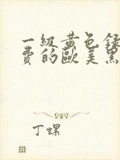 一级黄色录像免费的欧美黑人的