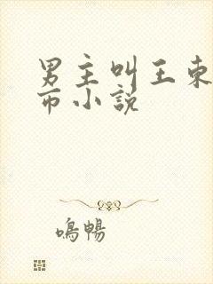 男主叫王东的都市小说