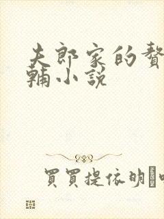 夫郎家的赘婿首辅小说