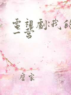 电视剧:我的特一营