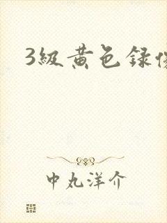 3级黄色录像片