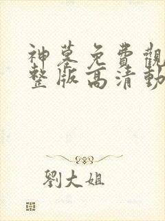 神墓免费观看完整版高清动漫在线