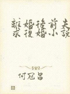 离婚后前夫哭着求复婚小说免费讲述