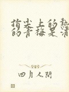 指尖上的热情我的青梅是消防第二季