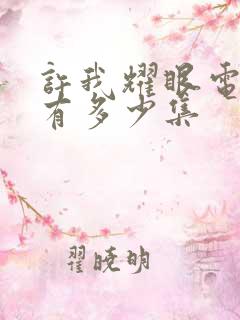 许我耀眼电视剧有多少集