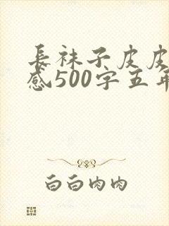 长袜子皮皮读后感500字五年级