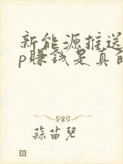 新能源推送app赚钱是真的吗