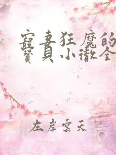 宠妻狂魔的黏人宝贝小彻全文阅读