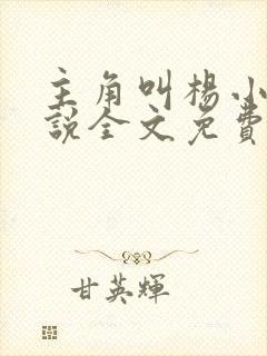 主角叫杨小天小说全文免费阅读