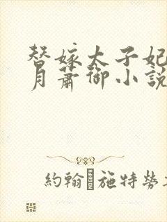 替嫁太子妃苏婉月萧御小说免费阅读