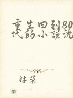 重生回到80年代的小说沈林